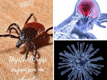 Klopi prenašalci resnega virusnega vnetja v obdobju Koronavirusa